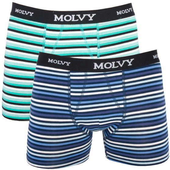 2PACK Мъжки боксерки Molvy многоцветен (KP-044-BEU)