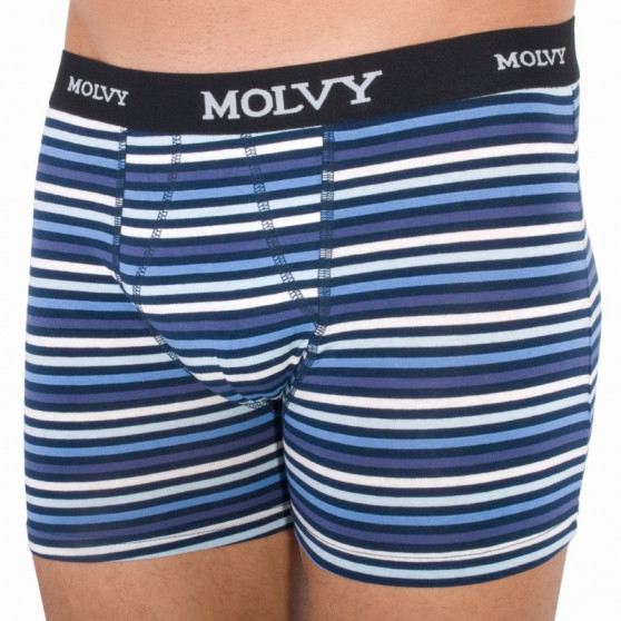 2PACK Мъжки боксерки Molvy многоцветен (KP-044-BEU)