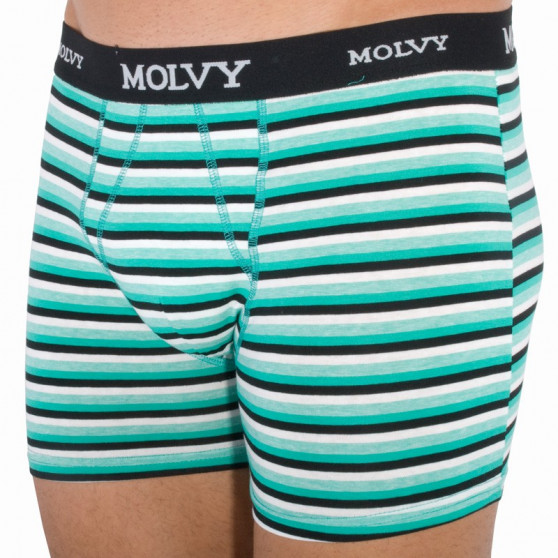 2PACK Мъжки боксерки Molvy многоцветен (KP-044-BEU)