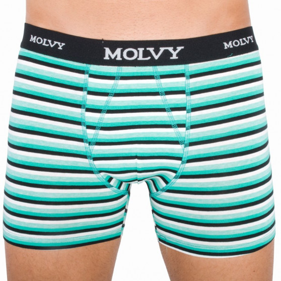 2PACK Мъжки боксерки Molvy многоцветен (KP-044-BEU)