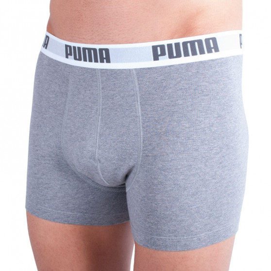 2PACK Мъжки боксерки Puma многоцветен (521015001 072)