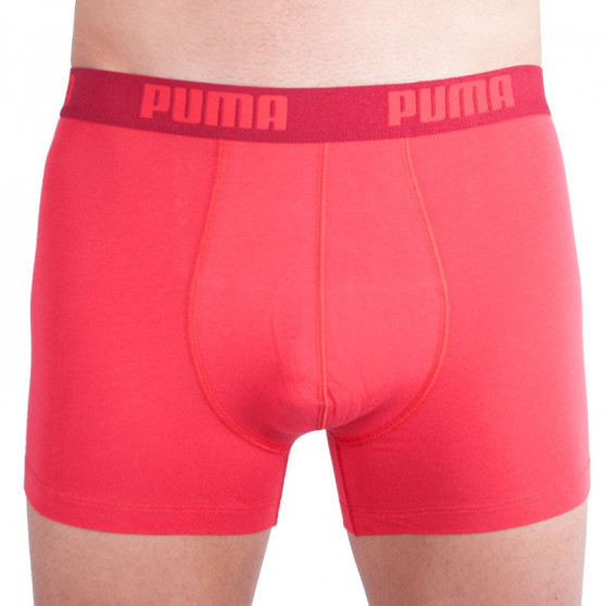 2PACK Мъжки боксерки Puma многоцветен (521015001 072)