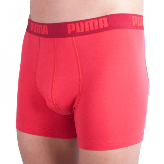 2PACK Мъжки боксерки Puma многоцветен (521015001 072)