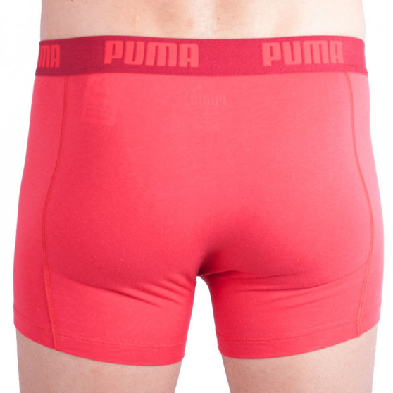 2PACK Мъжки боксерки Puma многоцветен (521015001 072)