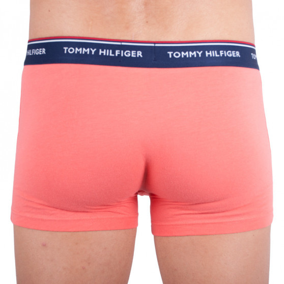 3PACK Мъжки боксерки Tommy Hilfiger многоцветен (1U87903842 424)