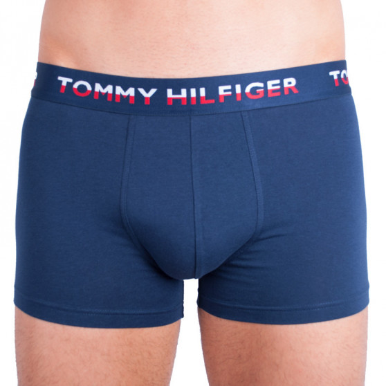 2PACK Мъжки боксерки Tommy Hilfiger многоцветен (UM0UM00746 222)