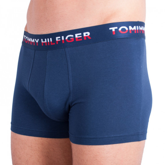 2PACK Мъжки боксерки Tommy Hilfiger многоцветен (UM0UM00746 222)