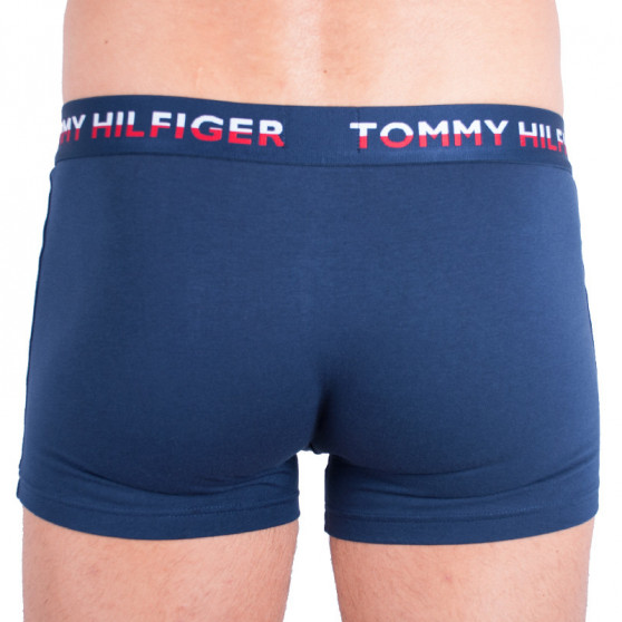 2PACK Мъжки боксерки Tommy Hilfiger многоцветен (UM0UM00746 222)