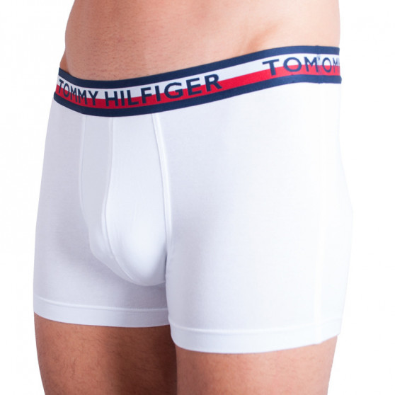 2PACK Мъжки боксерки Tommy Hilfiger многоцветен (UM0UM00746 222)