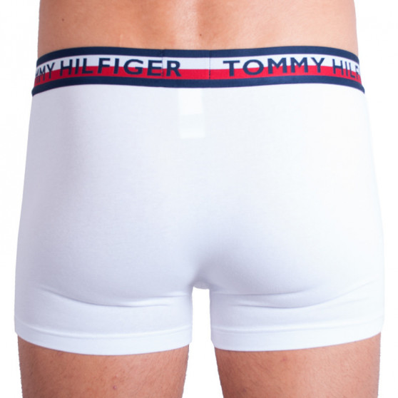 2PACK Мъжки боксерки Tommy Hilfiger многоцветен (UM0UM00746 222)