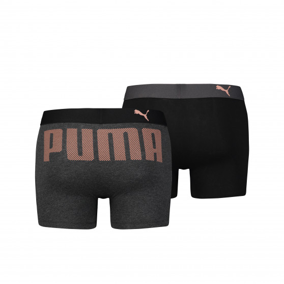 2PACK Мъжки боксерки Puma многоцветен (581007001 087)