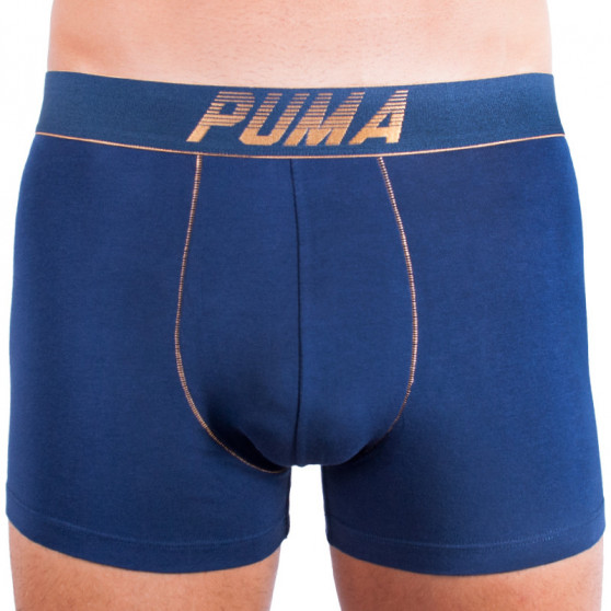 2PACK Мъжки боксерки Puma многоцветен (681004001 544)