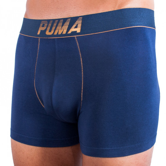 2PACK Мъжки боксерки Puma многоцветен (681004001 544)