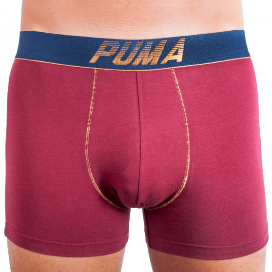 2PACK Мъжки боксерки Puma многоцветен (681004001 544)