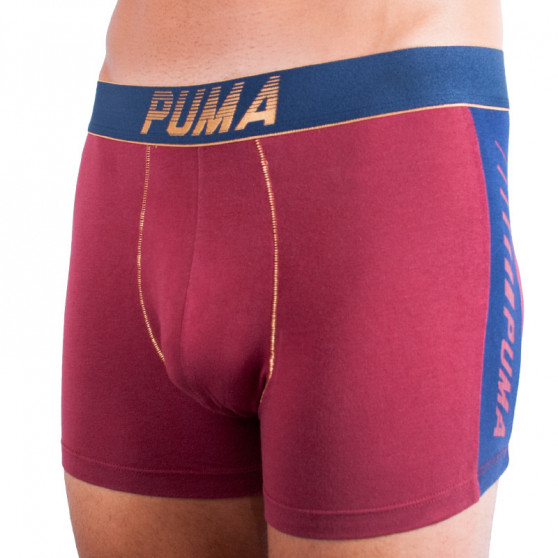 2PACK Мъжки боксерки Puma многоцветен (681004001 544)