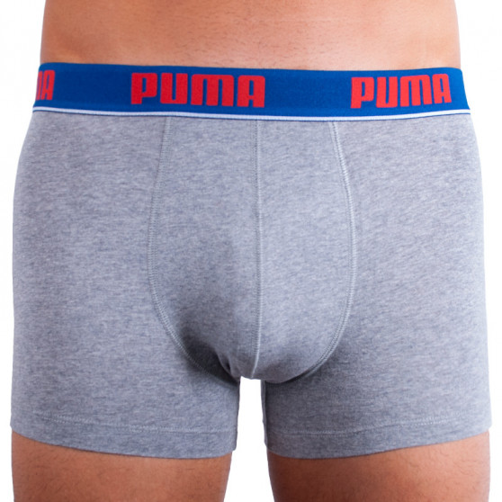 2PACK Мъжки боксерки Puma многоцветен (671001001 277)