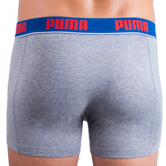 2PACK Мъжки боксерки Puma многоцветен (671001001 277)