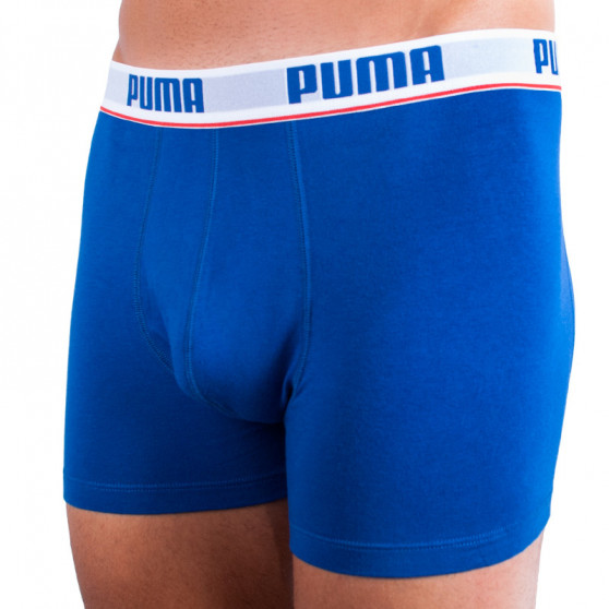 2PACK Мъжки боксерки Puma многоцветен (671001001 277)