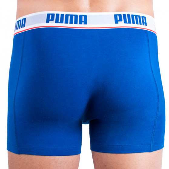 2PACK Мъжки боксерки Puma многоцветен (671001001 277)