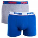 2PACK Мъжки боксерки Puma многоцветен (671001001 277)