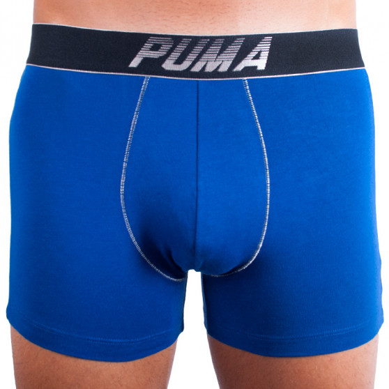 2PACK Мъжки боксерки Puma многоцветен (681004001 560)