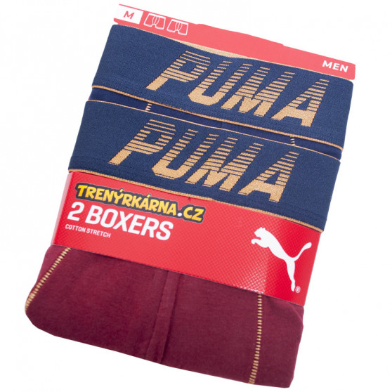 2PACK Мъжки боксерки Puma многоцветен (681004001 544)