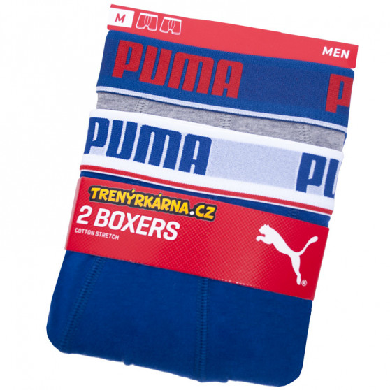 2PACK Мъжки боксерки Puma многоцветен (671001001 277)