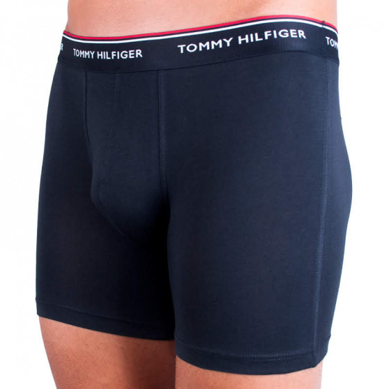 3PACK Мъжки боксерки Tommy Hilfiger многоцветен (UM0UM00010 004)