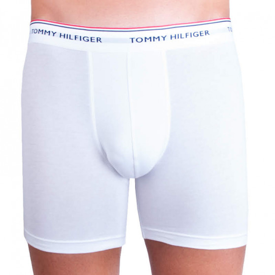 3PACK Мъжки боксерки Tommy Hilfiger многоцветен (UM0UM00010 004)