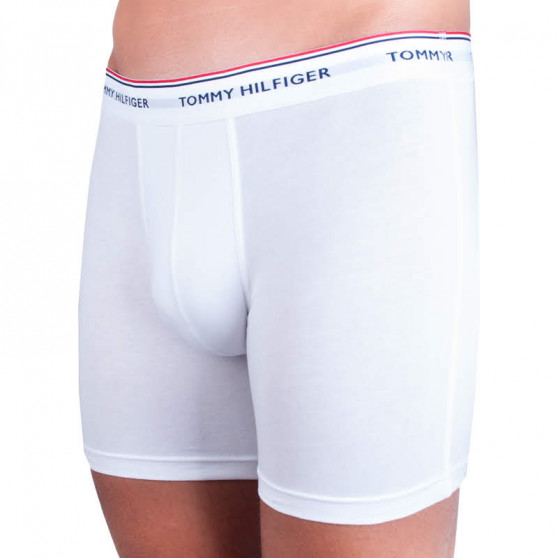 3PACK Мъжки боксерки Tommy Hilfiger многоцветен (UM0UM00010 004)