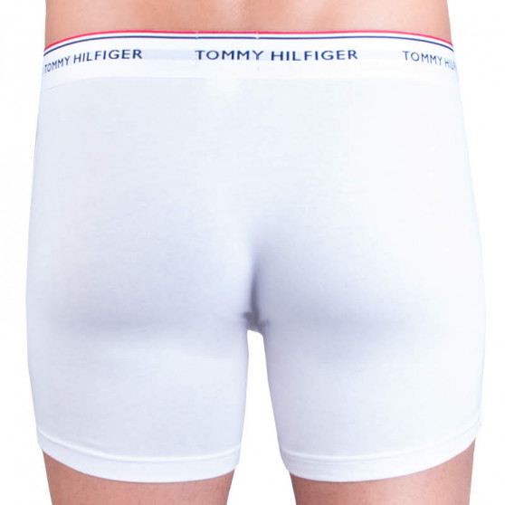 3PACK Мъжки боксерки Tommy Hilfiger многоцветен (UM0UM00010 004)