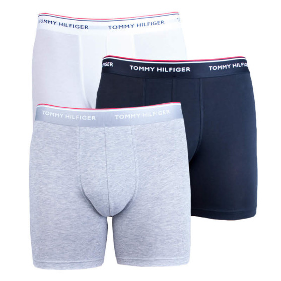 3PACK Мъжки боксерки Tommy Hilfiger многоцветен (UM0UM00010 004)