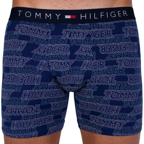 2PACK Мъжки боксерки Tommy Hilfiger многоцветен (UM0UM00940 066)