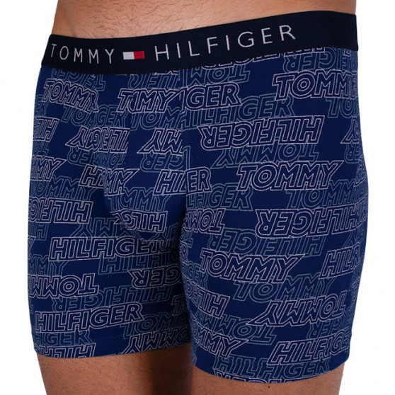 2PACK Мъжки боксерки Tommy Hilfiger многоцветен (UM0UM00940 066)