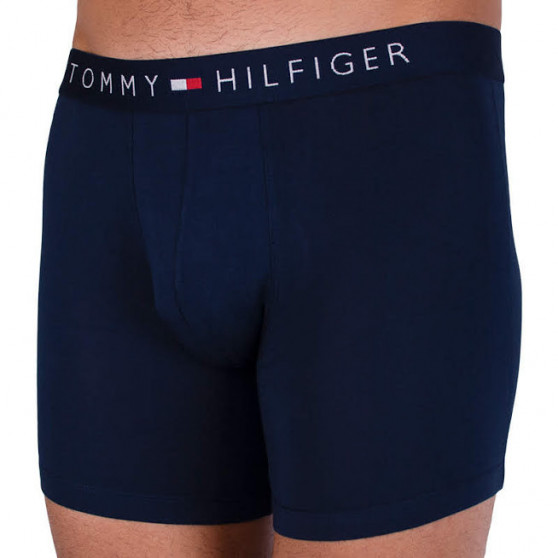 2PACK Мъжки боксерки Tommy Hilfiger многоцветен (UM0UM00940 066)