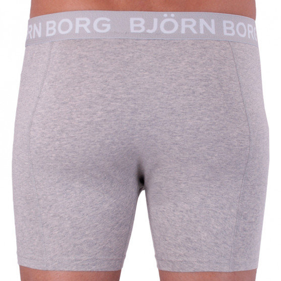 2PACK Мъжки боксерки Bjorn Borg многоцветен (1841-1204-40501)