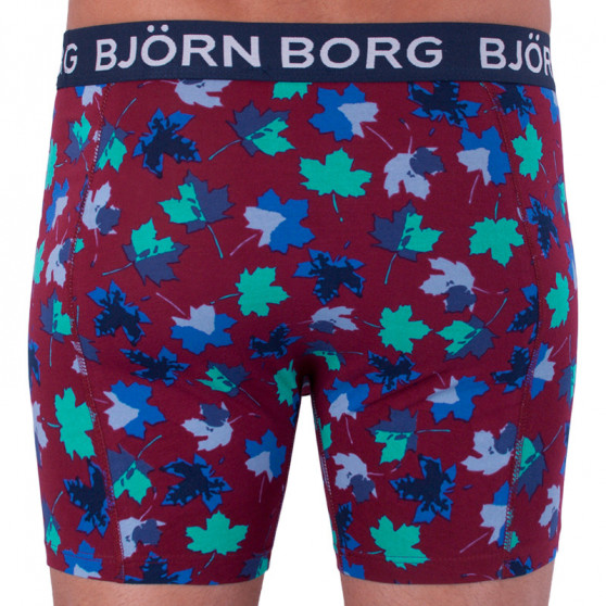 2PACK Мъжки боксерки Bjorn Borg многоцветен (1841-1204-40501)