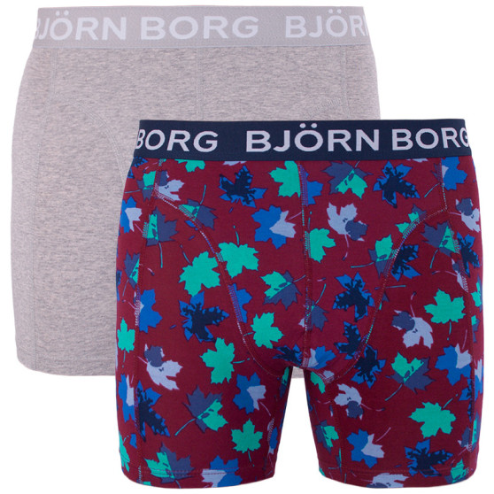 2PACK Мъжки боксерки Bjorn Borg многоцветен (1841-1204-40501)