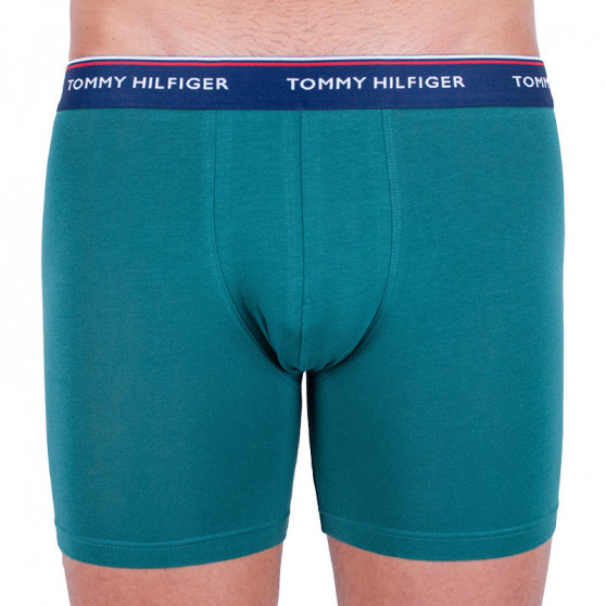 3PACK Мъжки боксерки Tommy Hilfiger многоцветен (UM0UM00010 052)