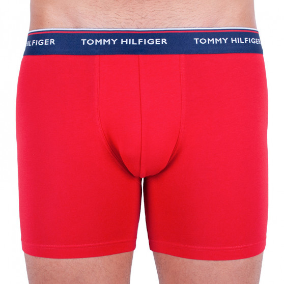 3PACK Мъжки боксерки Tommy Hilfiger многоцветен (UM0UM00010 052)