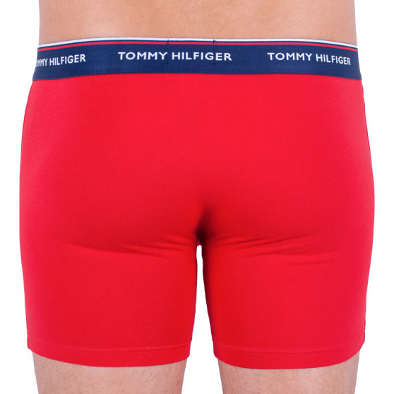 3PACK Мъжки боксерки Tommy Hilfiger многоцветен (UM0UM00010 052)