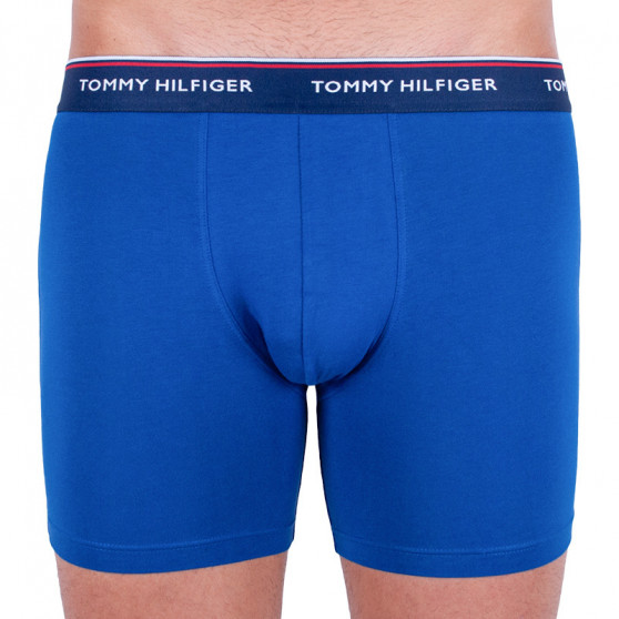 3PACK Мъжки боксерки Tommy Hilfiger многоцветен (UM0UM00010 052)