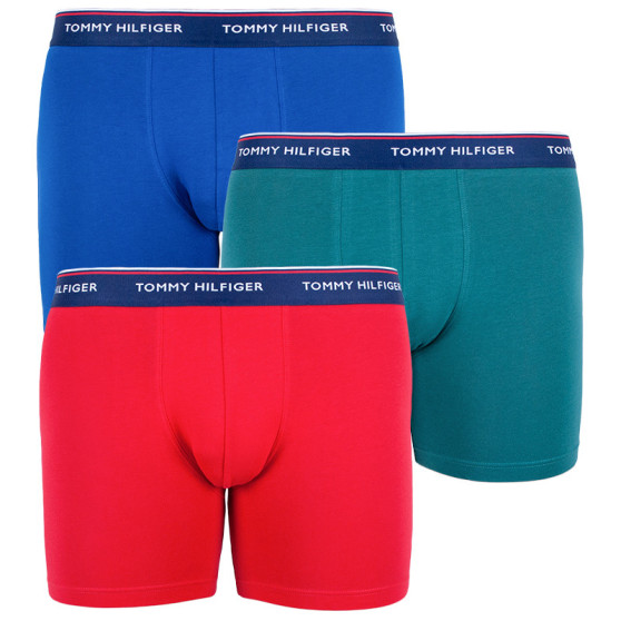 3PACK Мъжки боксерки Tommy Hilfiger многоцветен (UM0UM00010 052)