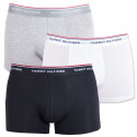 3PACK Мъжки боксерки Tommy Hilfiger многоцветен oversize (1U87905252 004)