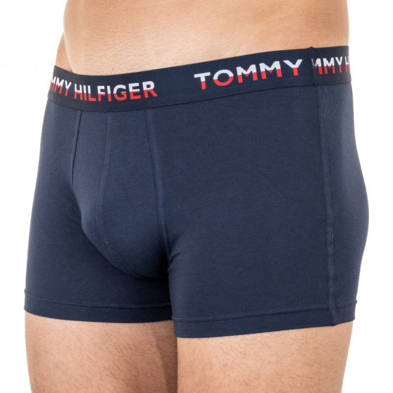 2PACK Мъжки боксерки Tommy Hilfiger многоцветен (UM0UM01233 088)