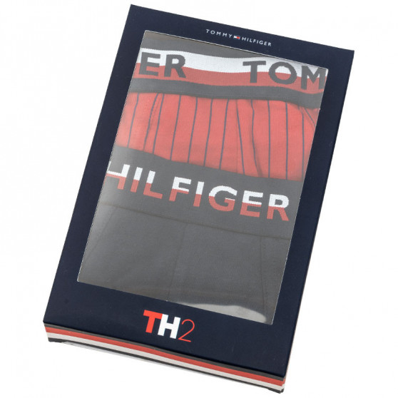 2PACK Мъжки боксерки Tommy Hilfiger многоцветен (UM0UM01233 088)