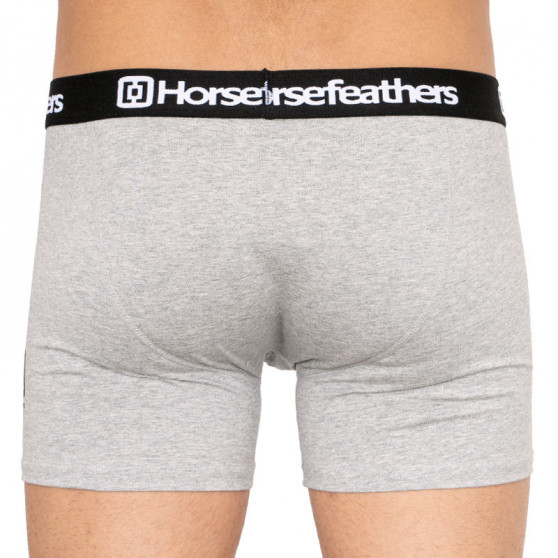 3PACK Мъжки боксерки Horsefeathers многоцветен (AM067D)