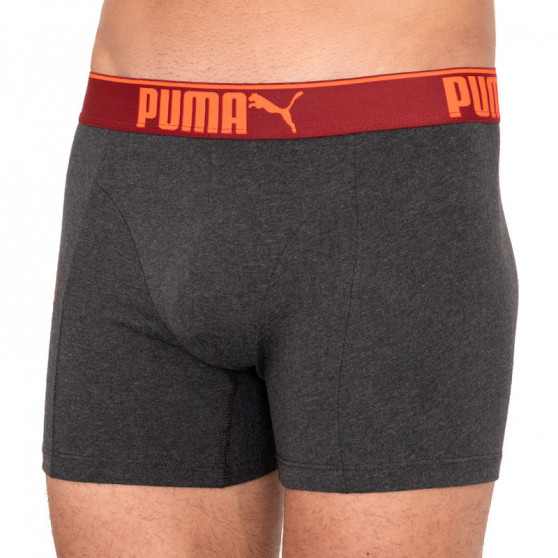 3PACK Мъжки боксерки Puma многоцветен (681030001 899)