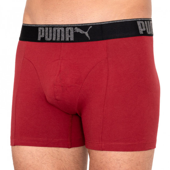 3PACK Мъжки боксерки Puma многоцветен (681030001 899)