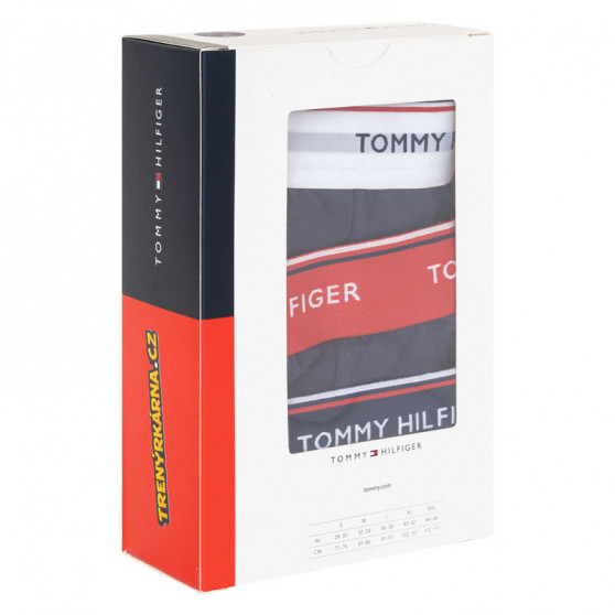 3PACK мъжки слипове Tommy Hilfiger тъмно синьо (1U87903766 904)